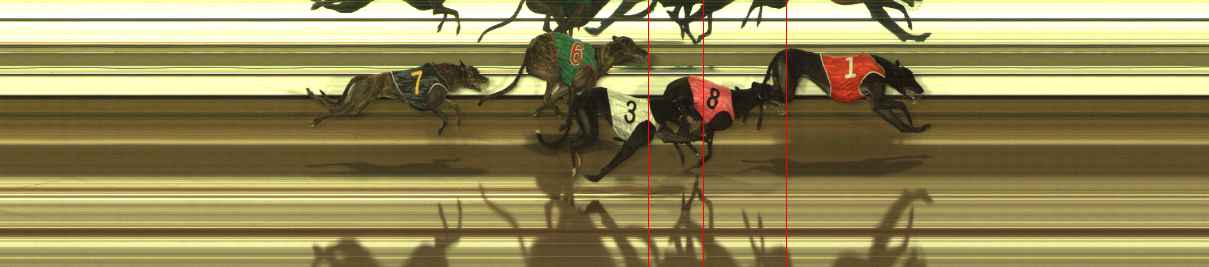 Race result finish photo